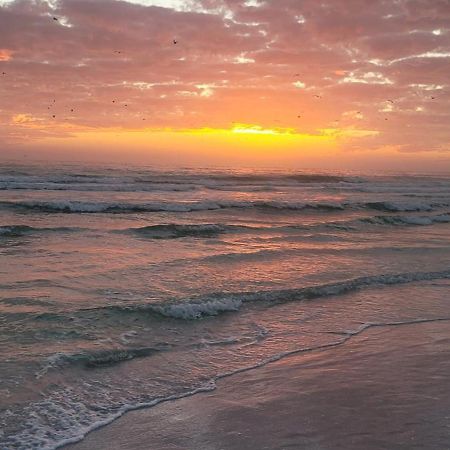 Siesta Key Condo - On The Water ! 외부 사진