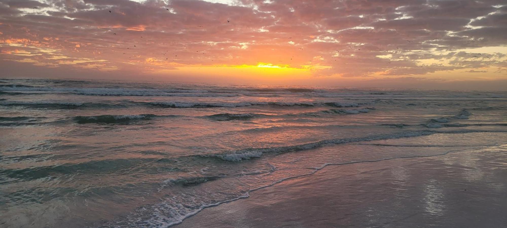 Siesta Key Condo - On The Water ! 외부 사진