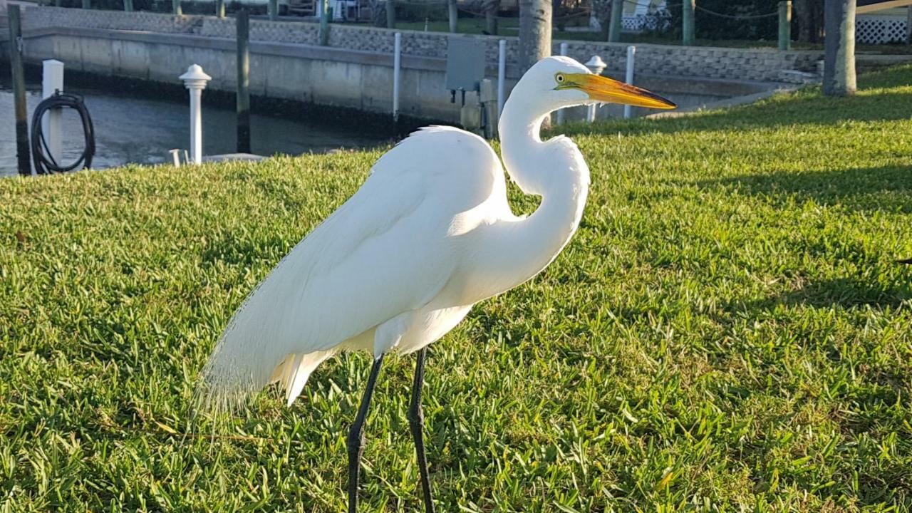 Siesta Key Condo - On The Water ! 외부 사진